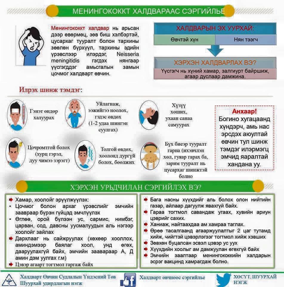 ЭРҮҮЛ МЭНД: Менингококкт халдвараас сэргийлье! | trends.mn