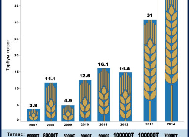 Улаанбуудайн татаас 2007-2014