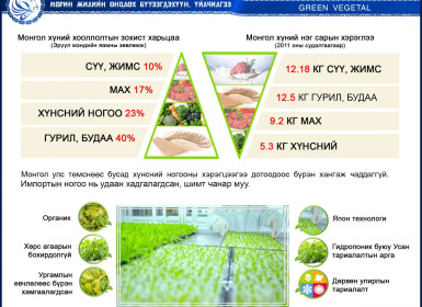 Морин жилийн онцлох бүтээгдэхүүн үйлчилгээ - 'Green vegetal'