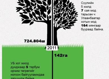 5 жилд 7 сая мод тарьсан ч Улаанбаатар хотын мод 164 мянгаар буурчээ