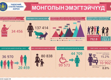 Монголын эмэгтэйчүүдийн статистик мэдээлэл